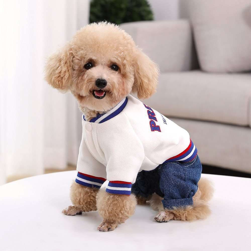 犬服 小型犬用スポーティーつなぎ