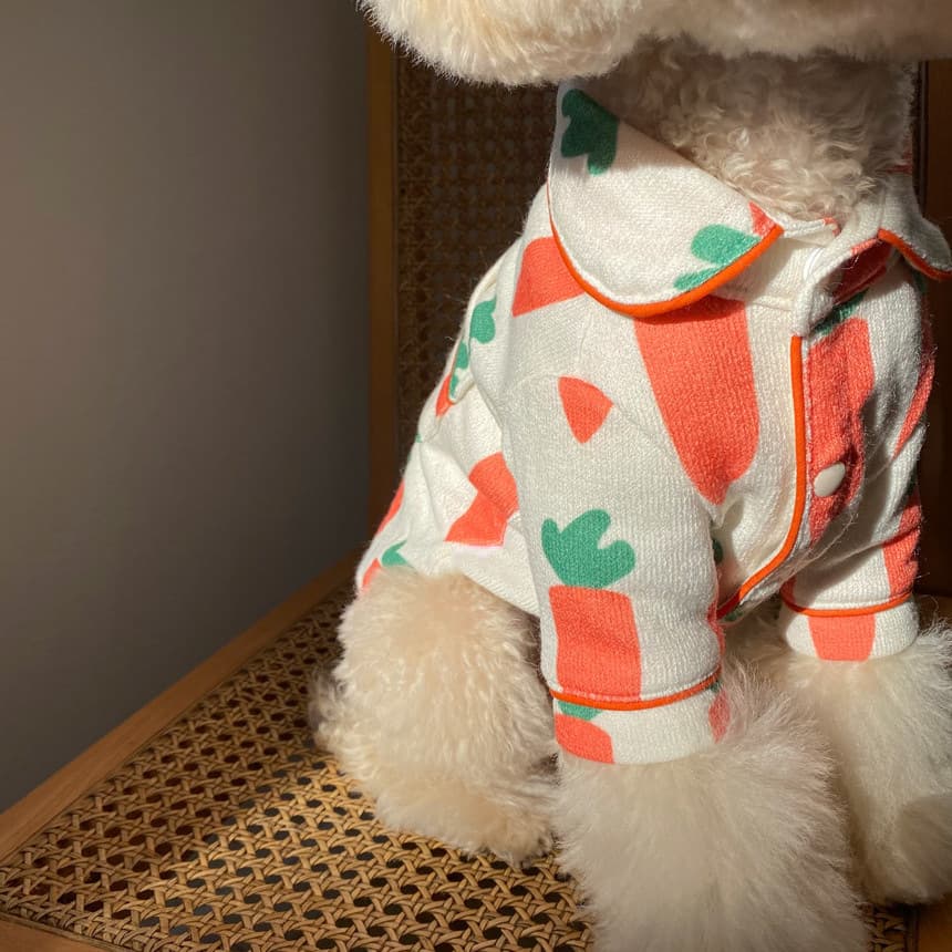 犬服 ふわもこ野菜パターンパジャマ