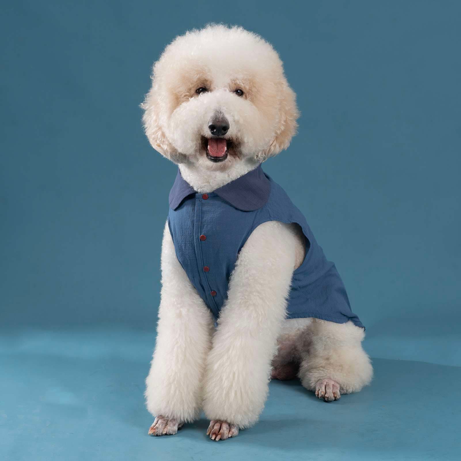 犬服 ふわもこワンちゃんのお洒落なベスト