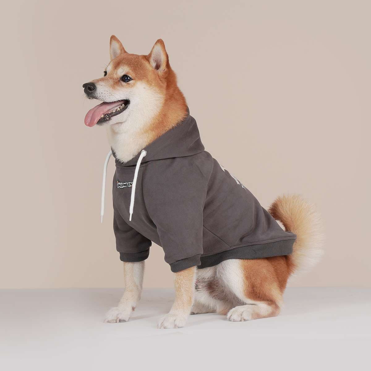 犬服 中型犬用スポーティーパーカー