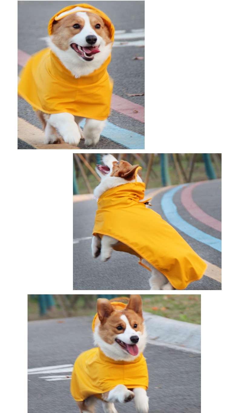 犬服 大型犬 中型犬 小型犬 カッパ レインウェア