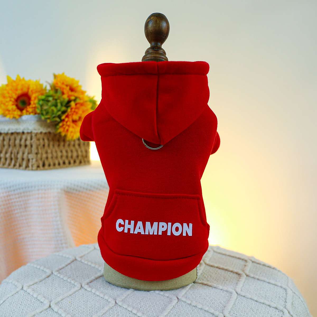 犬服 冒険家とロッカーのフード付きパーカー