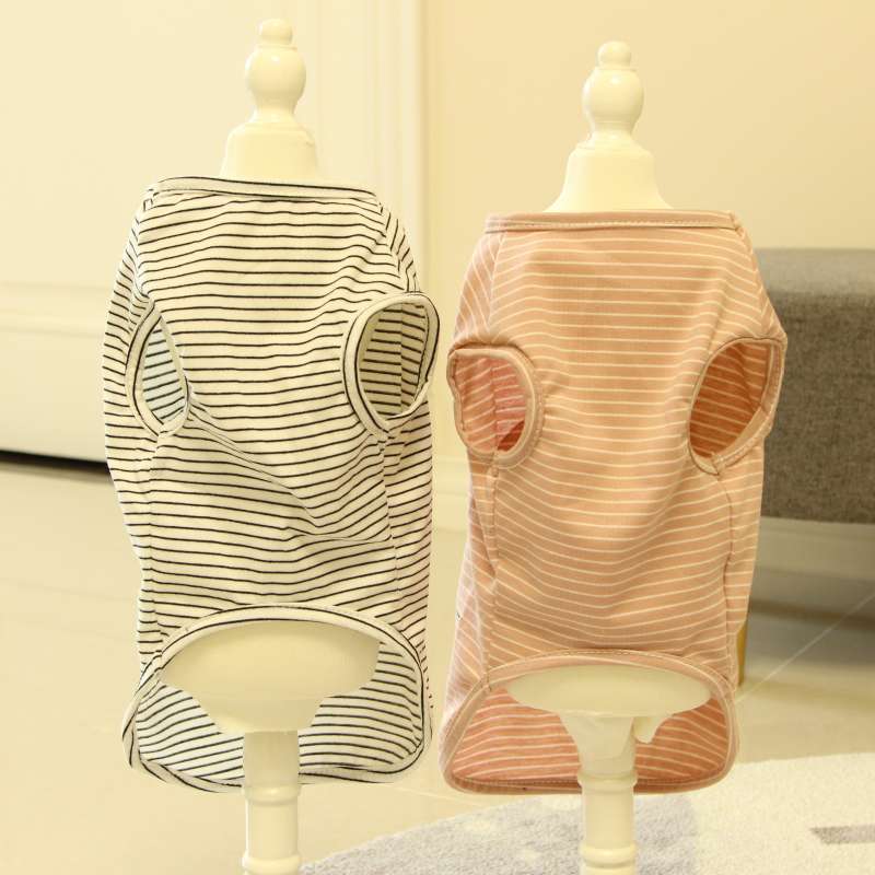 犬服 お散歩準備OK!わんちゃんTシャツ