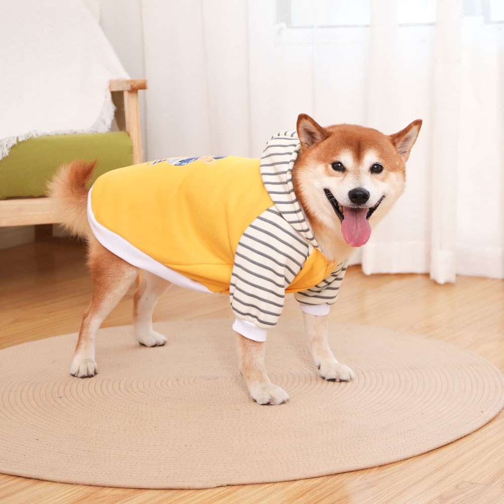 犬服 フード付きスポーティーパーカー