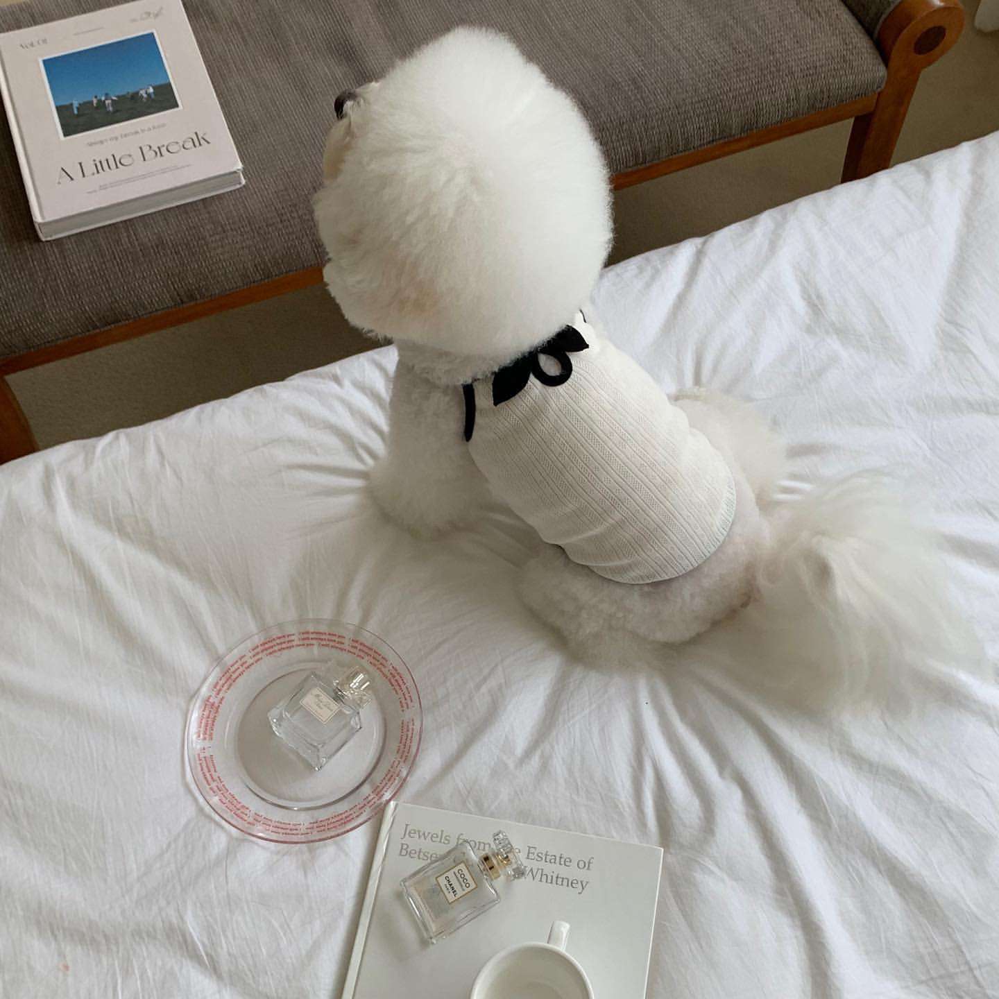 犬服 わんちゃんのリボン付きニットベスト