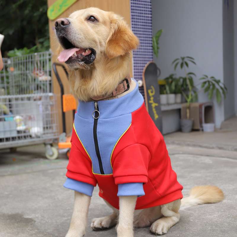 犬服 大型犬用ハッピーデー柄スポーツウェアTシャツ
