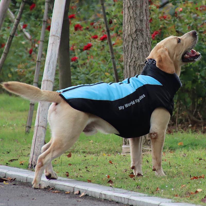 犬服 多機能ベスト型散歩ジャケット