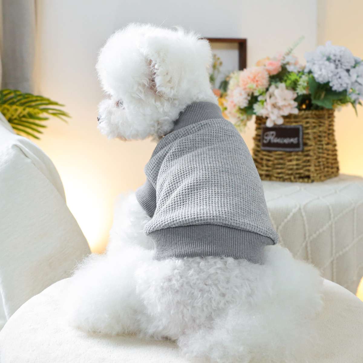 犬服 ふわもこわんちゃん用ニットセーター