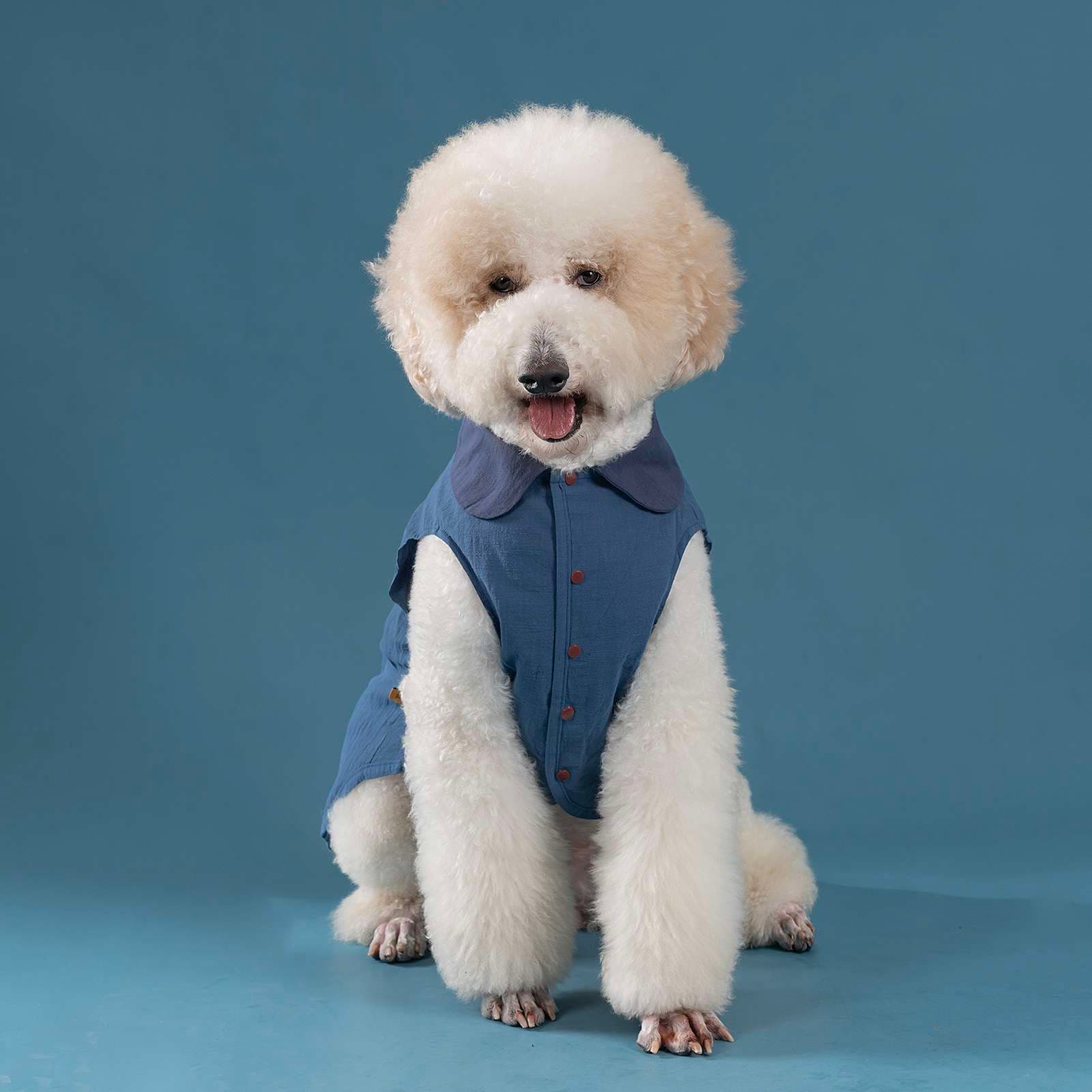犬服 ふわもこワンちゃんのお洒落なベスト