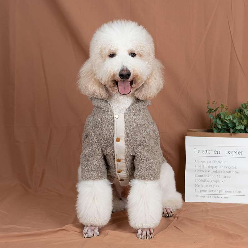 犬服 もこもこテディベア風大型犬用パーカー