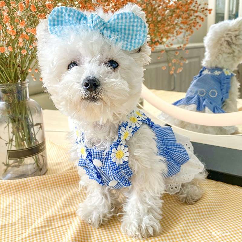 犬服 花かごガーリーワンピース