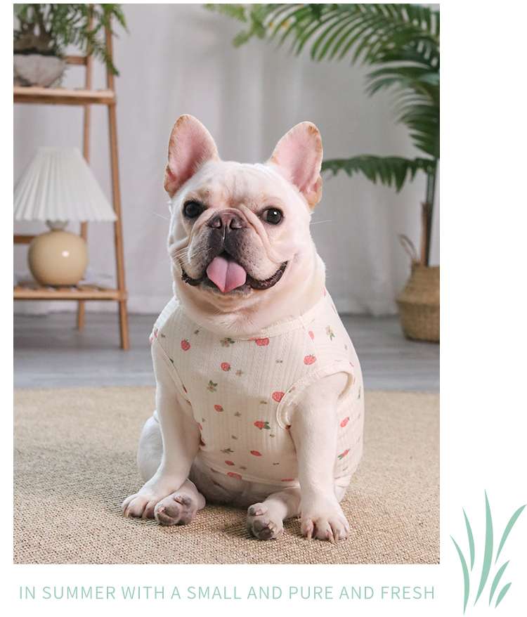 犬服 小型犬 サマータンクトップ