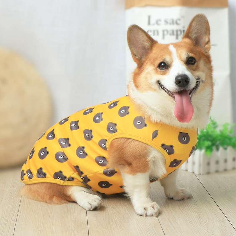 犬服 ふわもこ熊さんベスト