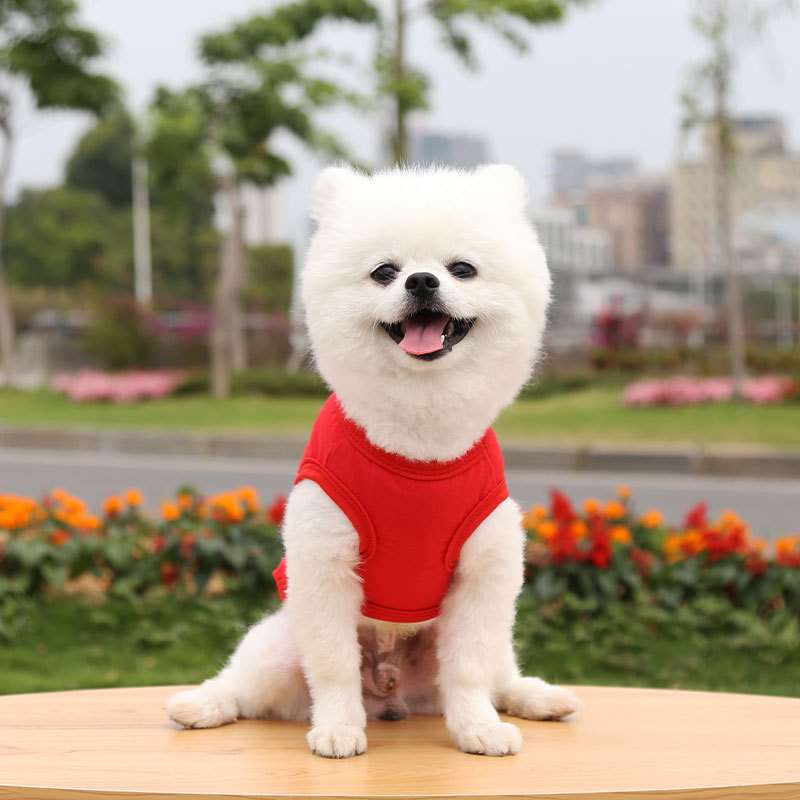 犬服 小型犬〜中型犬用Tシャツ