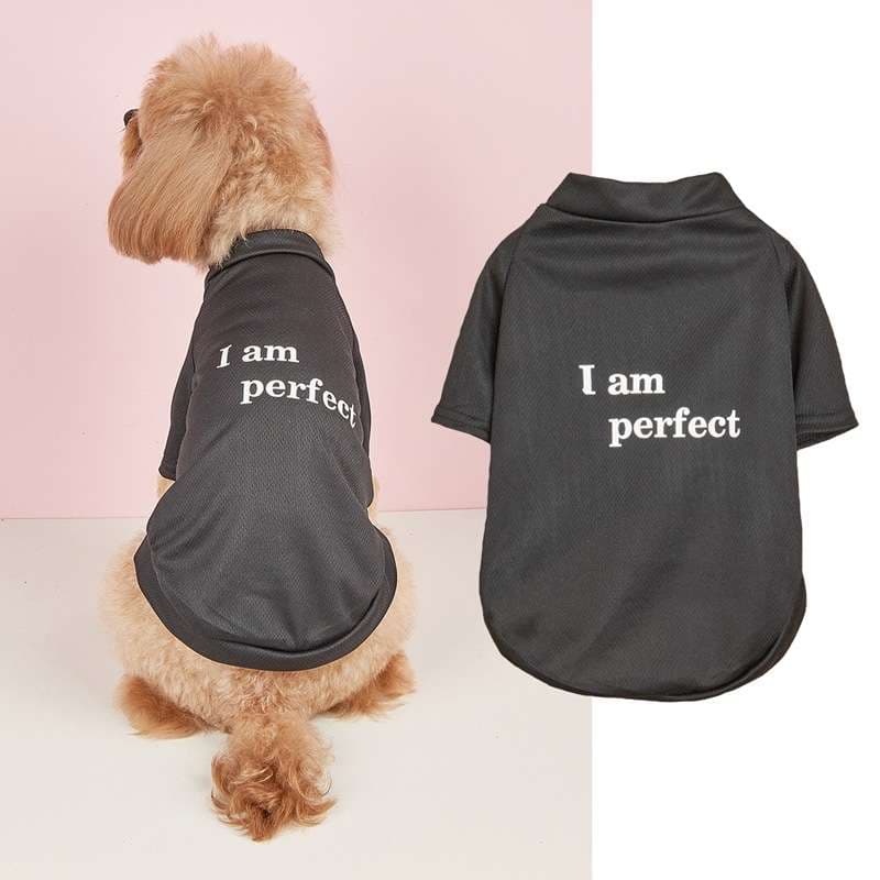 犬服 自信満々ペット用Tシャツ