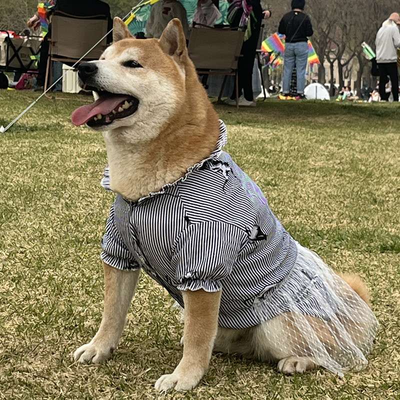 犬服 しましま和風ドレスわんこ服