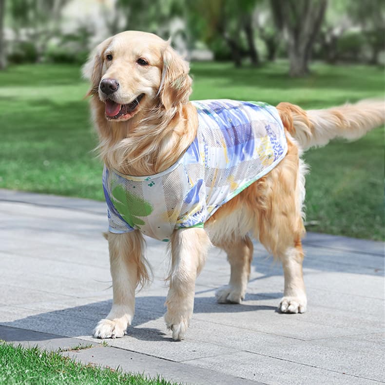 犬服 涼やか水彩メッシュトレーナー