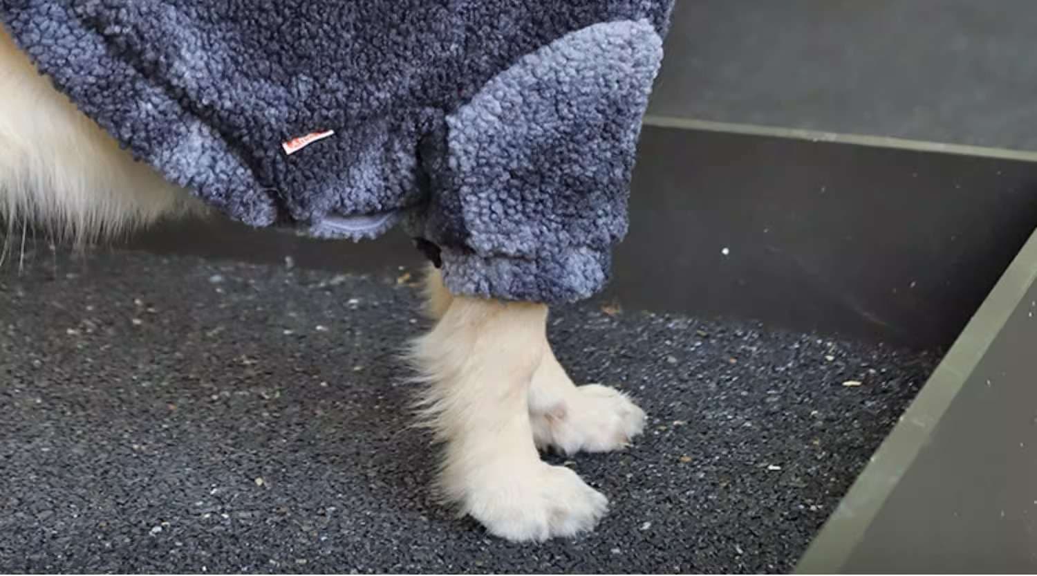 犬服 もこもこあったか大型犬用アウター