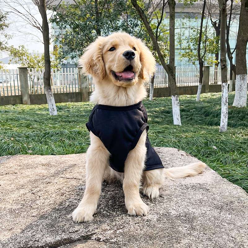 犬服 大型犬用シンプル半袖ベスト