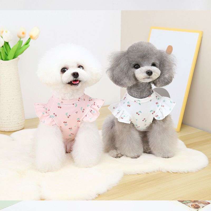 犬服 ふんわり袖のチェリー柄服