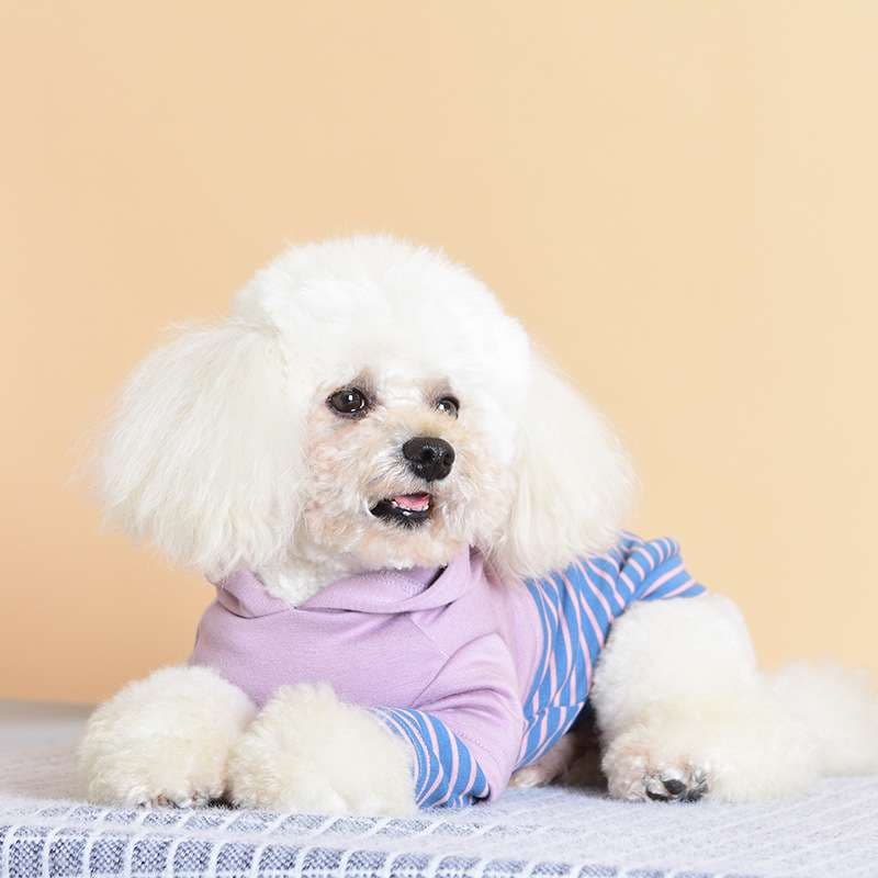 犬服 ふわもこプードル用ボーダーパーカー