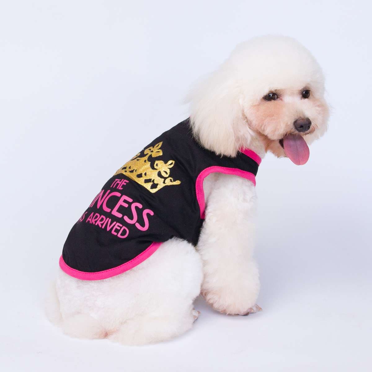 プリンセス王冠ワンピース犬服
