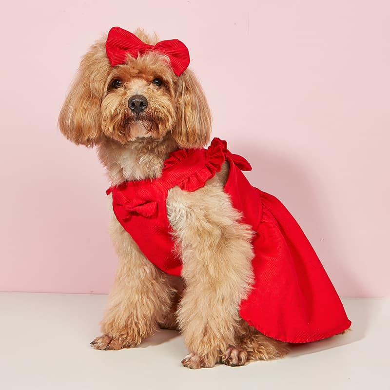 犬服 大きなリボン付きフリルドレス
