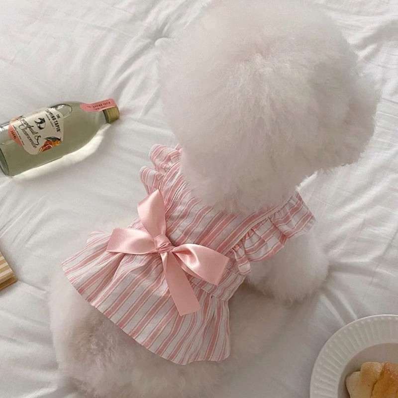 犬服 ふんわりリボン付きワンピース