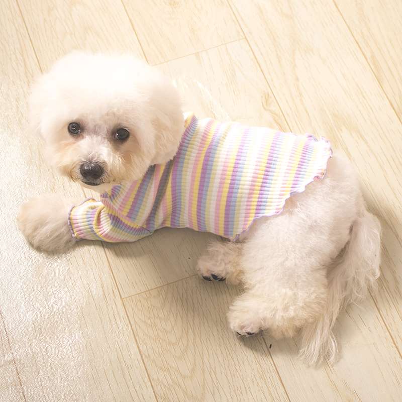 犬服 ワンちゃん用パステルボーダーシャツ