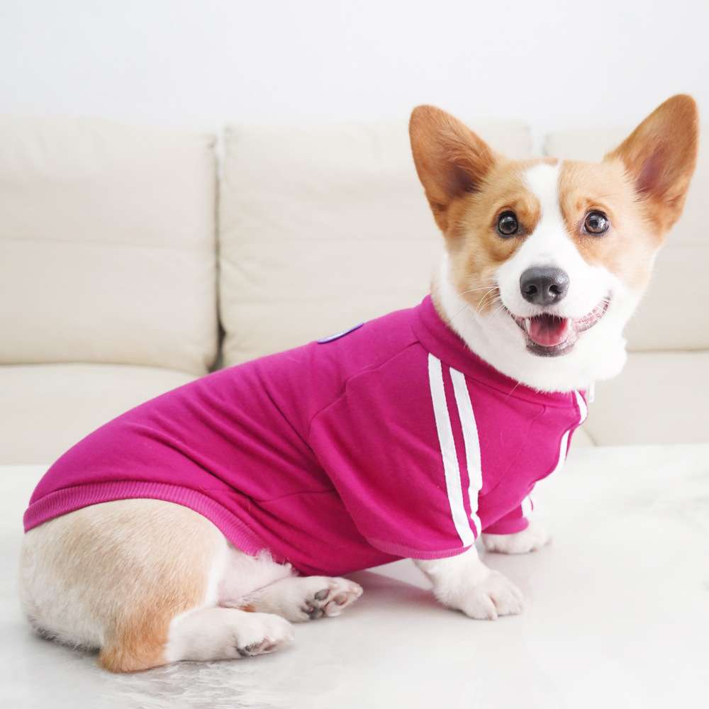 犬服 スポーティーな中型犬用ジャージ