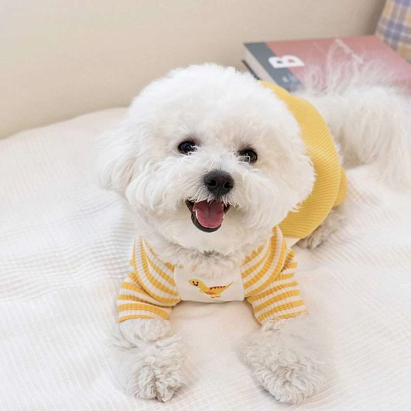 犬服 ふわもこ素材の小型犬用オーバーオール
