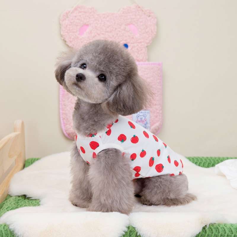 犬服 いちごプリントの可愛いタンクトップ