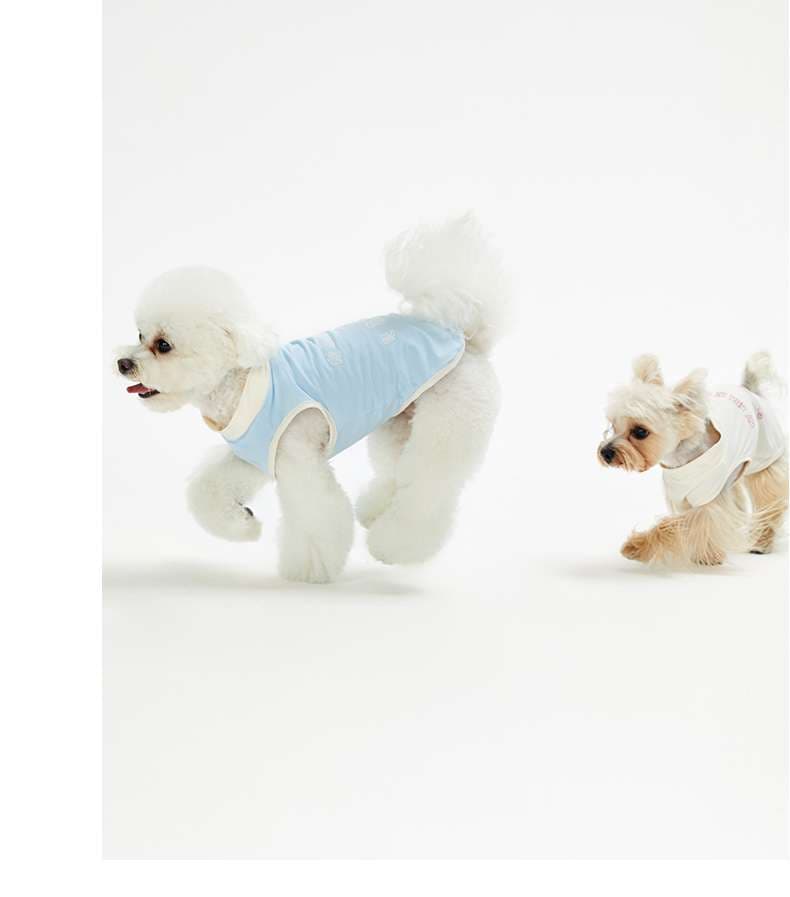 犬服 ふわもこワンちゃんの爽やかベスト