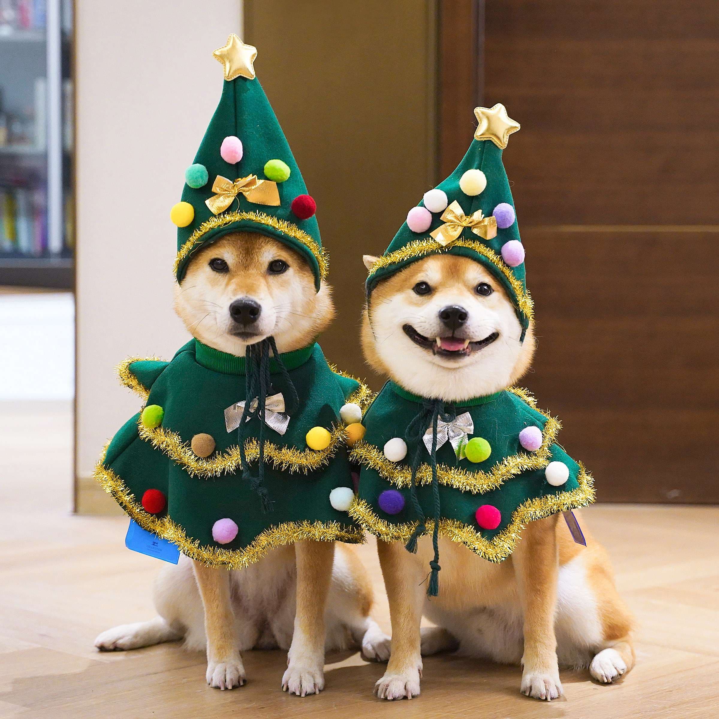 犬服 クリスマスツリー風 わんちゃん変身コスチューム