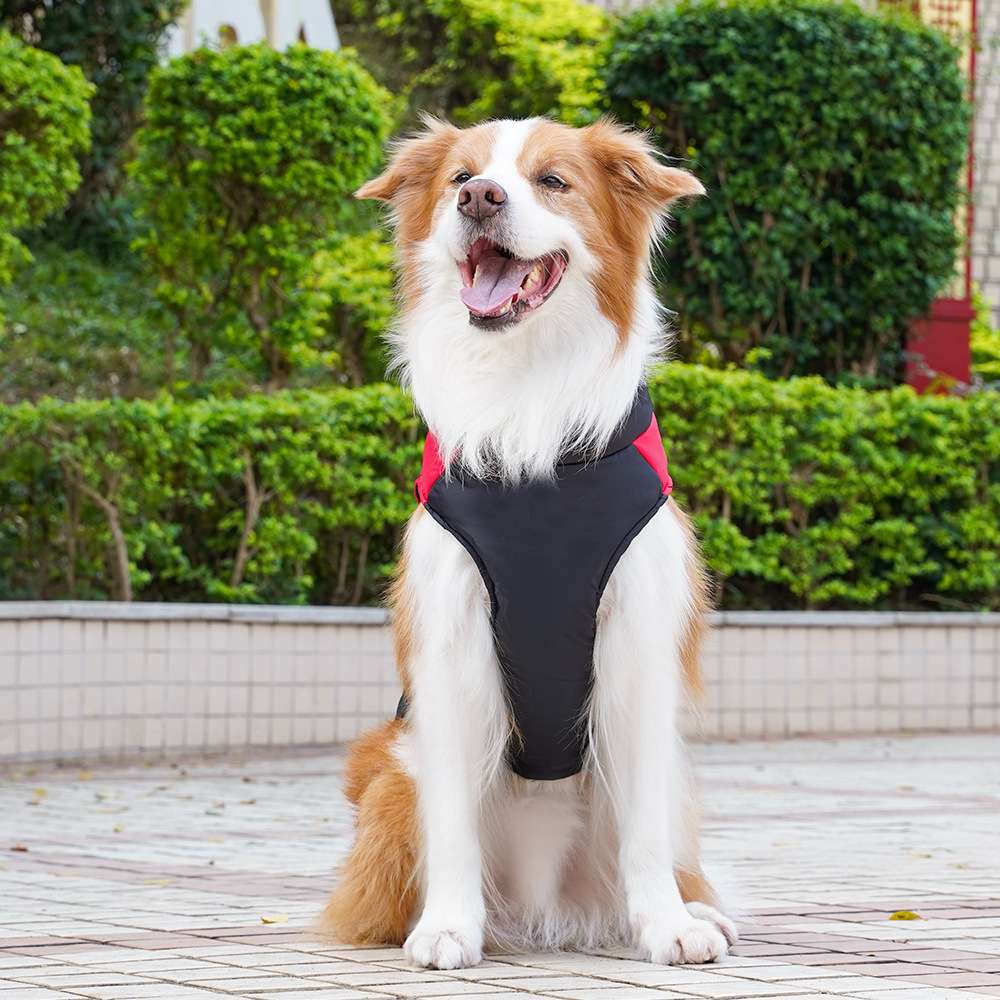 犬服 犬用あったかアウターベスト