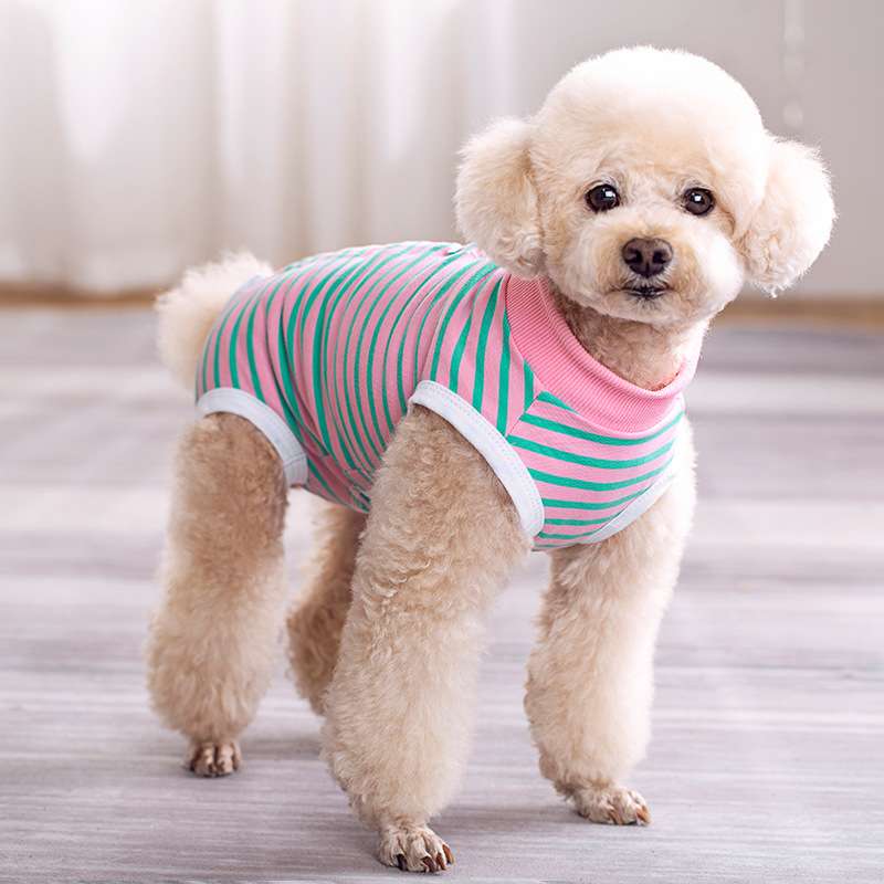 犬服 ふわもこ小型犬用ボーダーTシャツ
