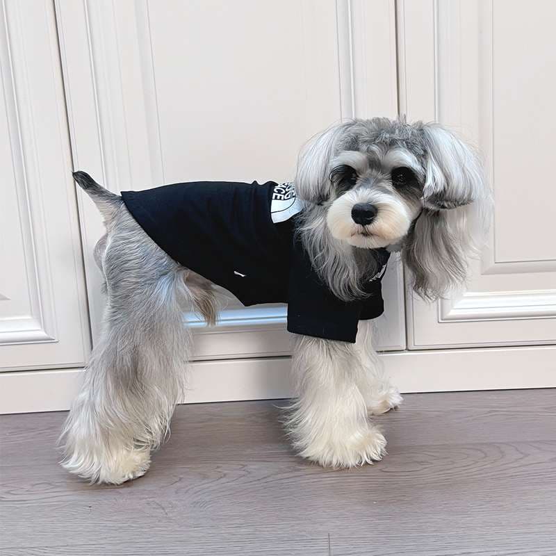 犬服 もこもこ小型犬用お出かけシャツ