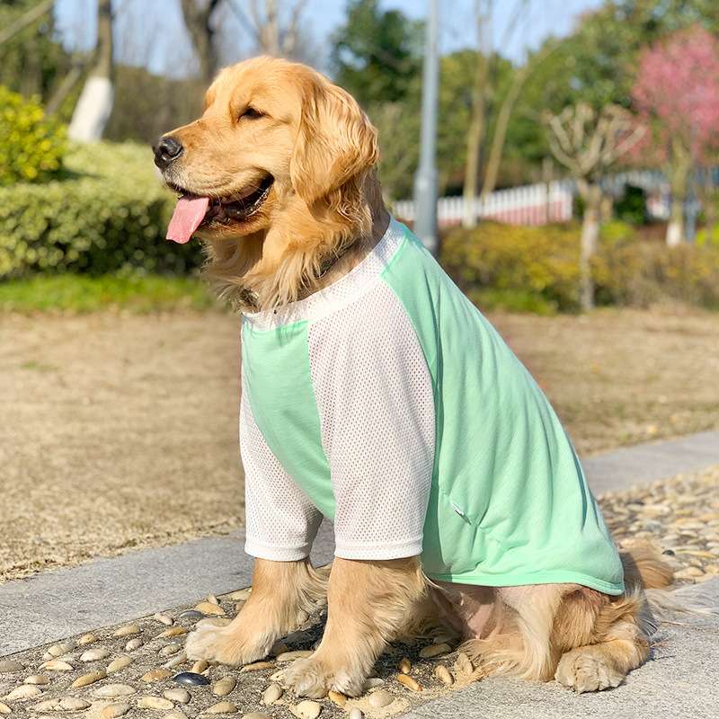 犬服 涼感メッシュ生地の大型犬用Tシャツ
