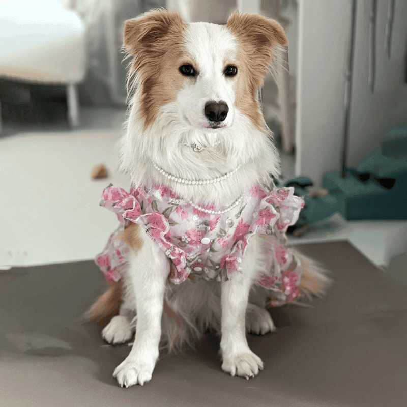 犬服 大型犬向け花柄ワンピース