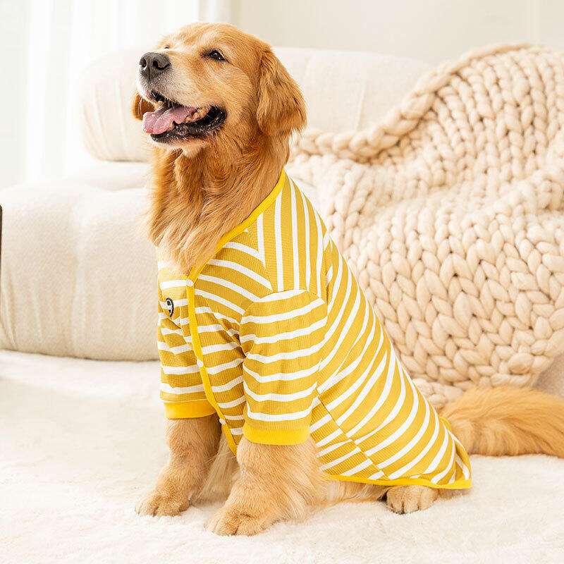犬服 大型犬用シンプルボーダーTシャツ