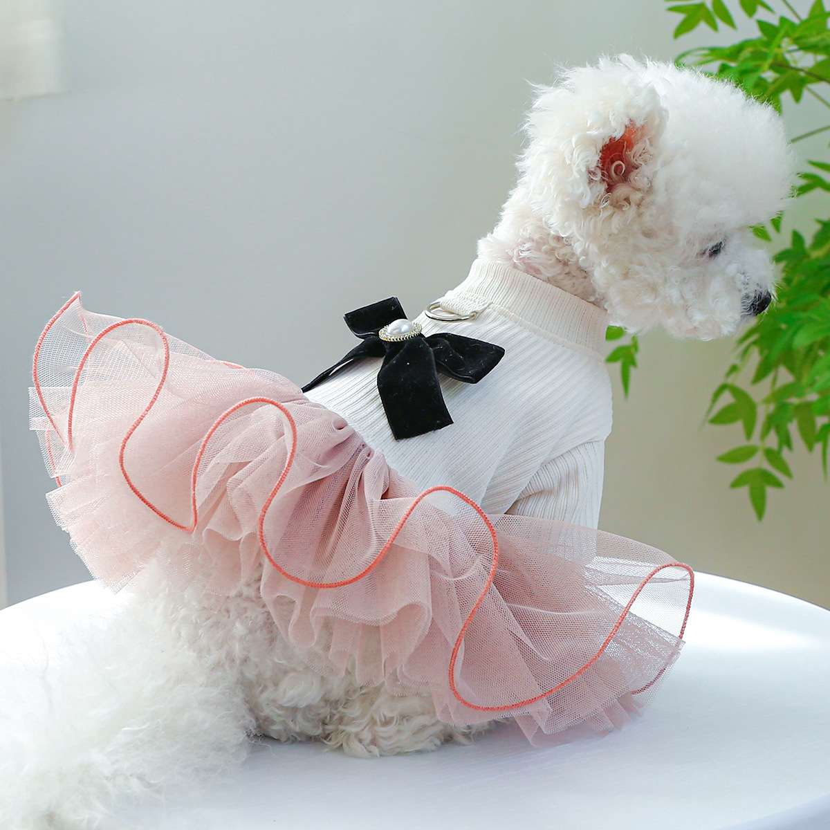 犬服 ふわふわチュチュワンピース