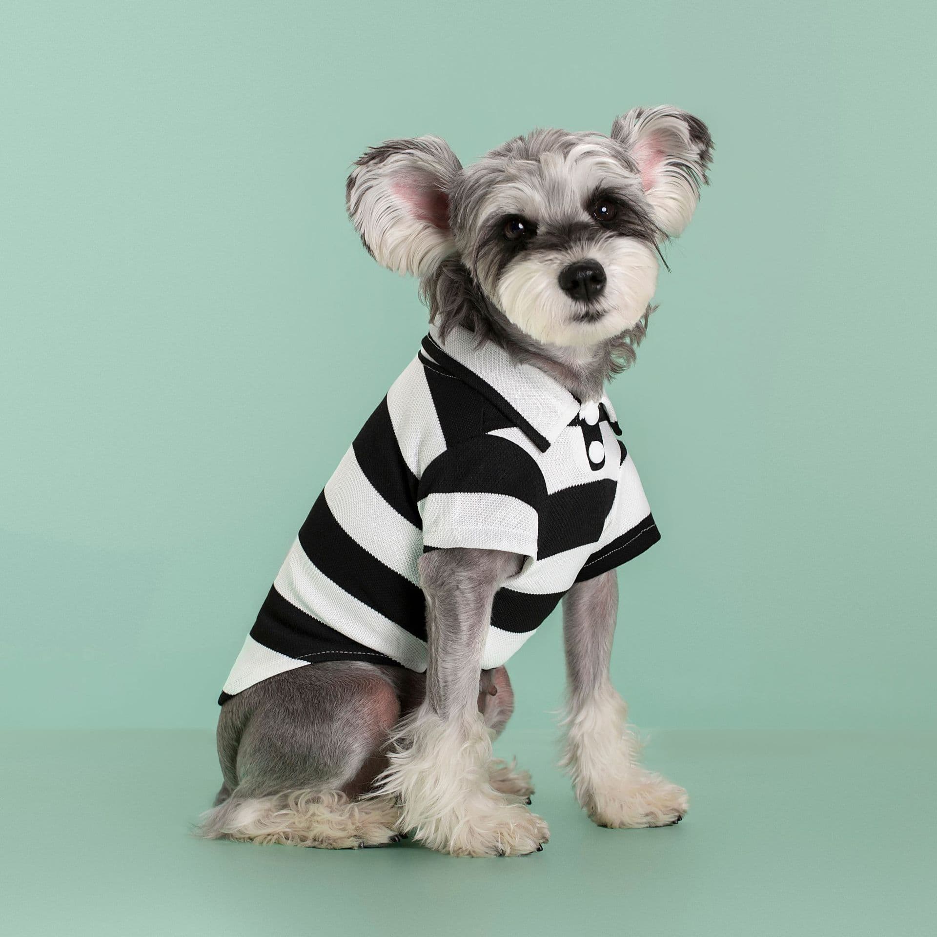 襟付きボーダー柄長袖ポロシャツ風犬服