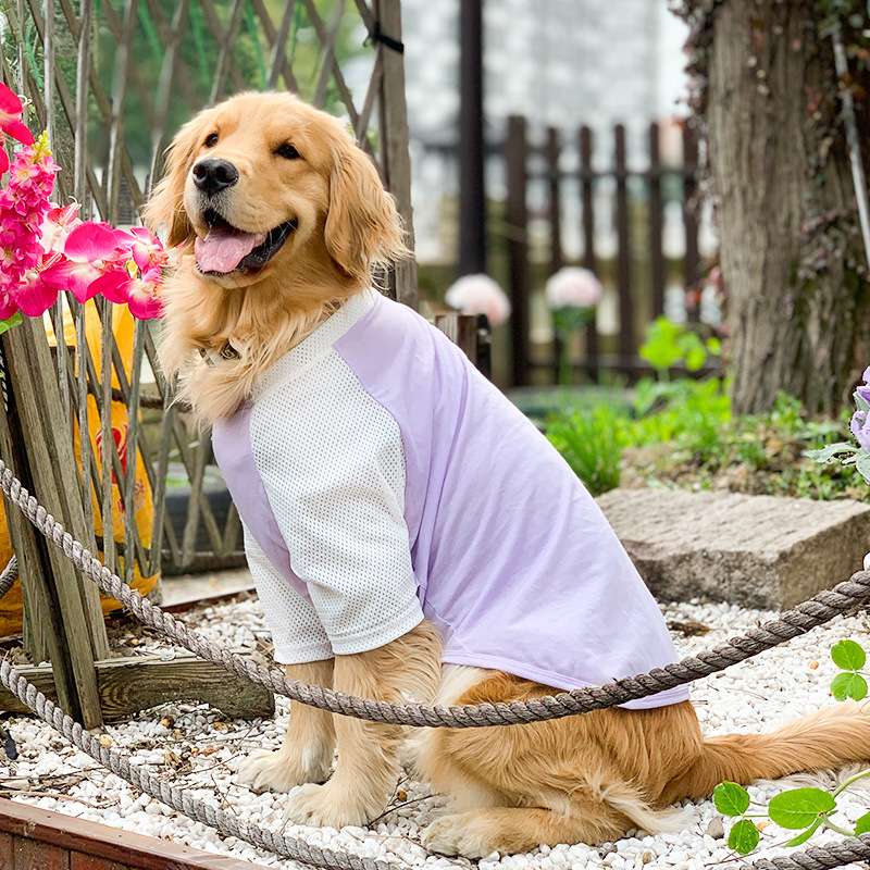 犬服 涼感メッシュ生地の大型犬用Tシャツ