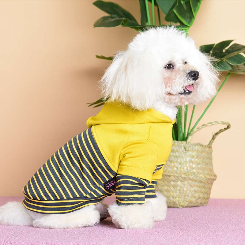 犬服 ふわもこプードル用ボーダーパーカー