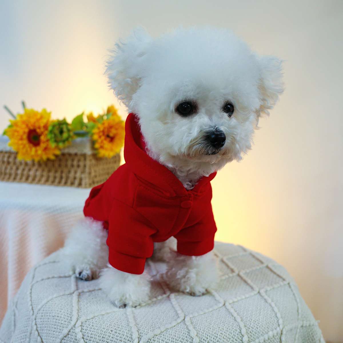 犬服 冒険家とロッカーのフード付きパーカー