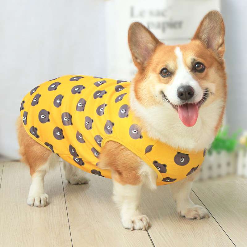 犬服 ふわもこ熊さんベスト
