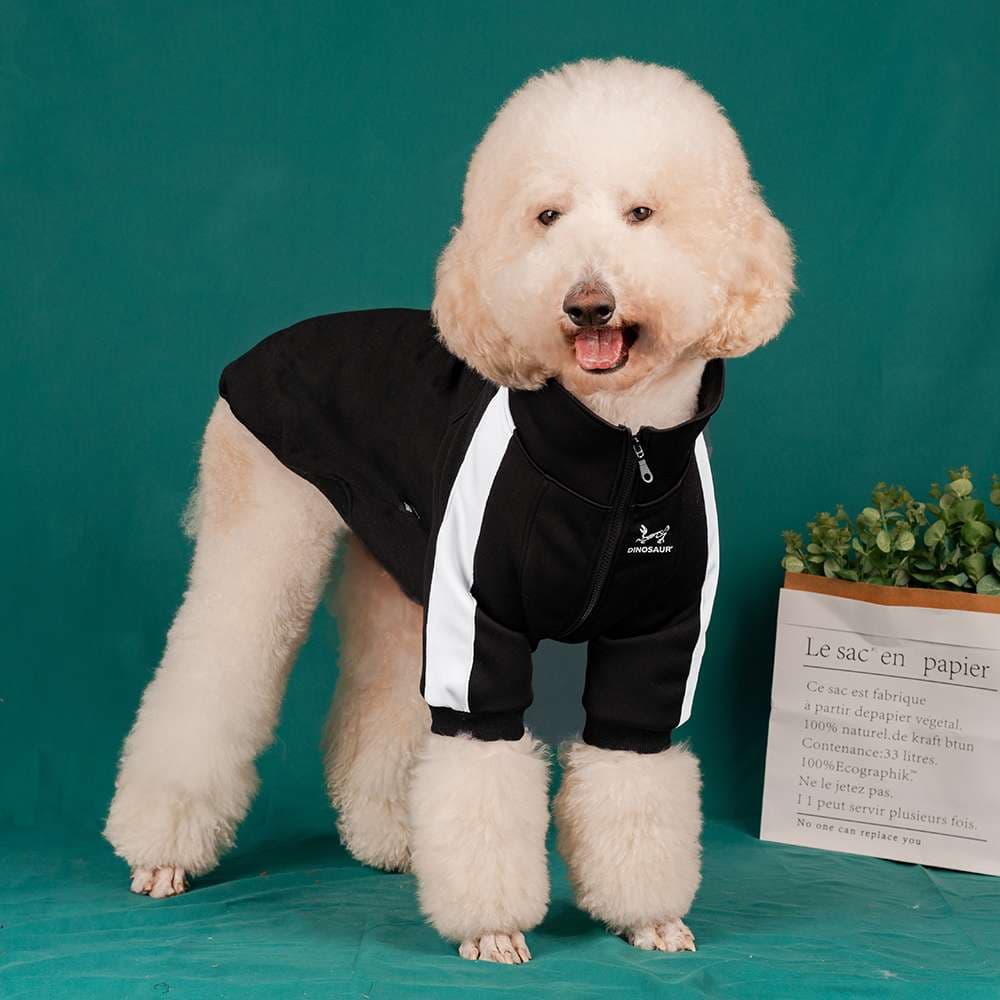 犬服 アウター 小型〜大型犬用スポーティージャンパー
