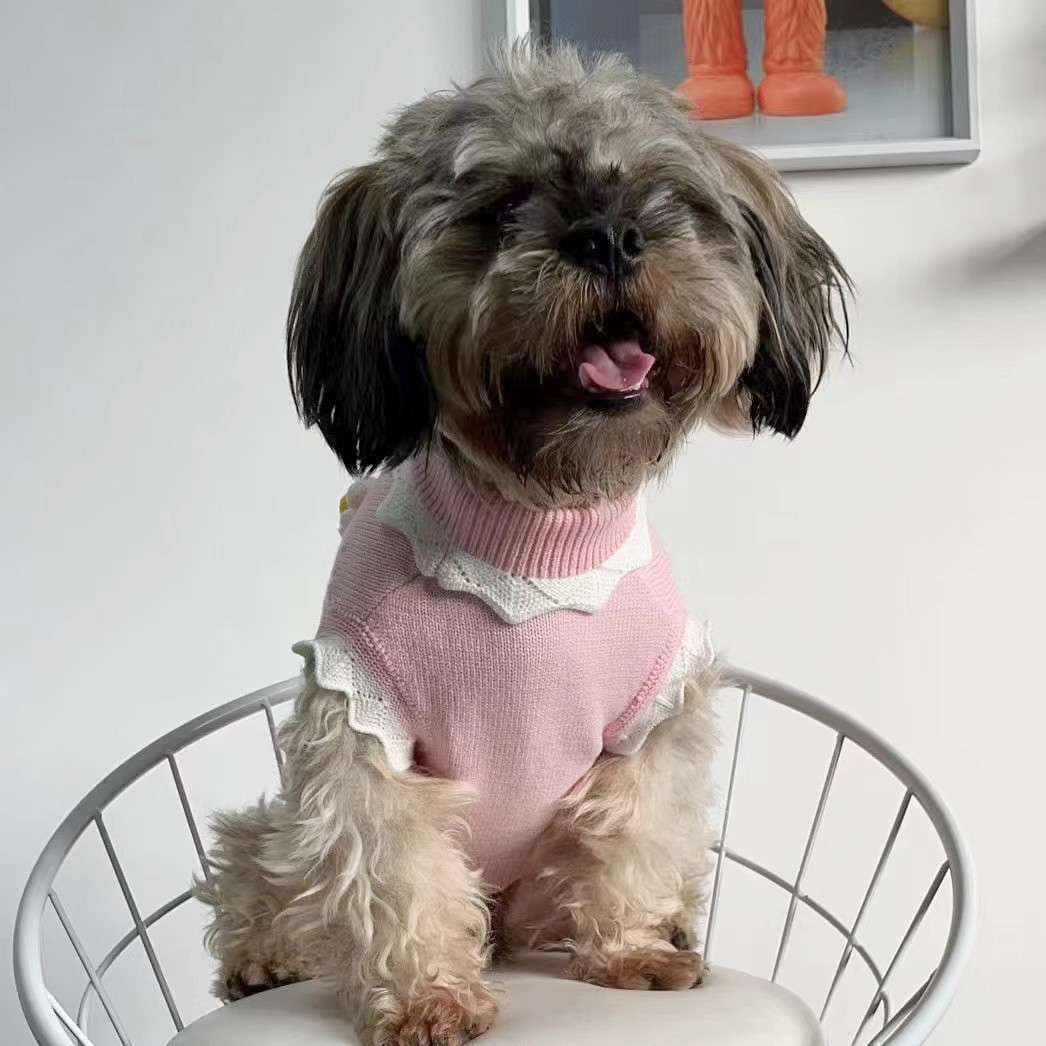 犬服 お花モチーフのニットセーター