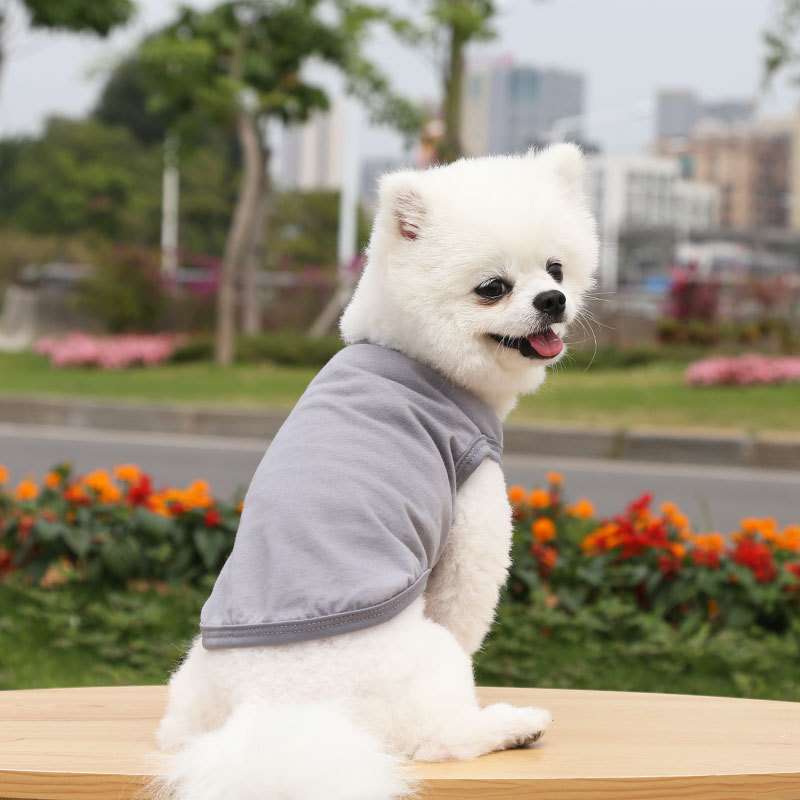 犬服 小型犬〜中型犬用Tシャツ