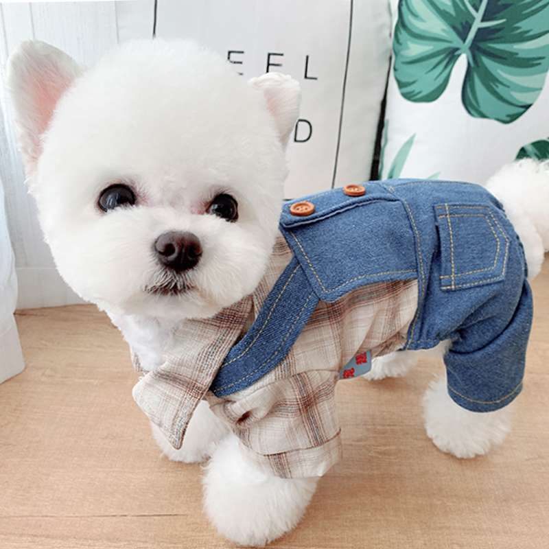 犬服 小型犬用オーバーオール風デニムシャツコーデ